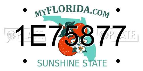 1E75877 Florida License Plate