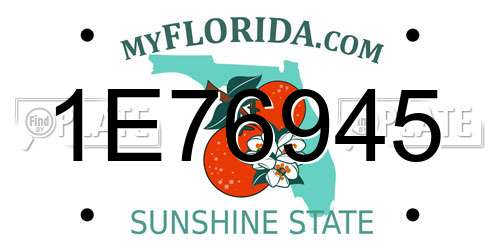 1E76945 Florida License Plate