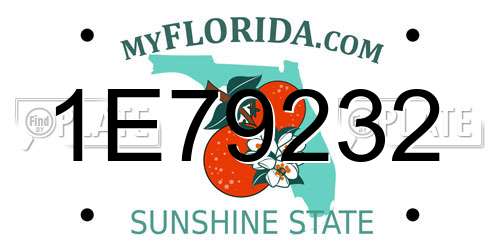 1E79232 Florida License Plate