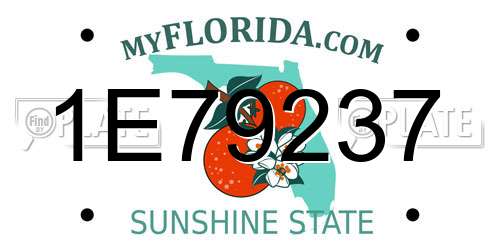 1E79237 Florida License Plate