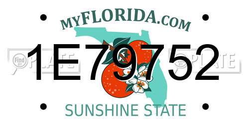 1E79752 Florida License Plate