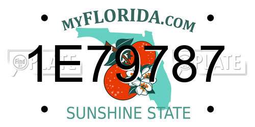 1E79787 Florida License Plate