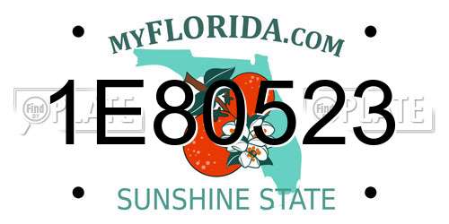 1E80523 Florida License Plate