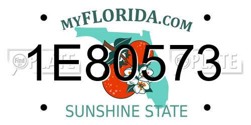 1E80573 Florida License Plate