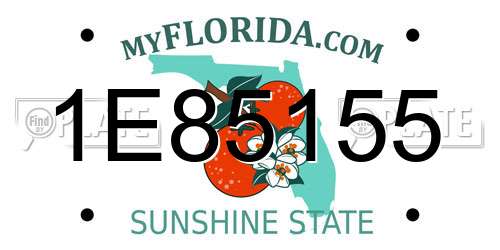 1E85155 Florida License Plate