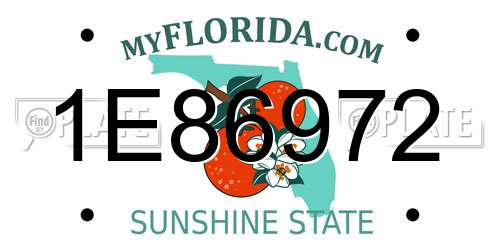 1E86972 Florida License Plate