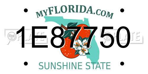 1E87750 Florida License Plate