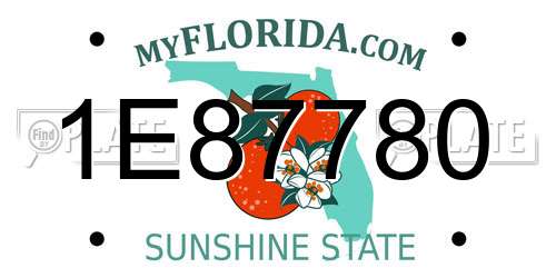 1E87780 Florida License Plate