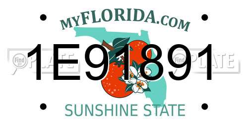 1E91891 Florida License Plate