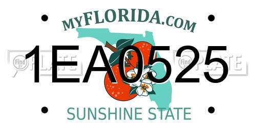 1EA0525 Florida License Plate