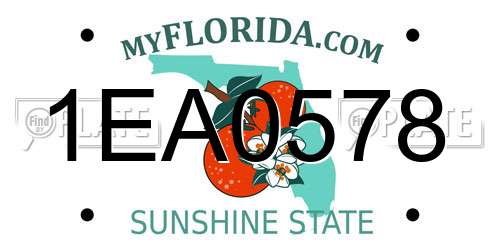 1EA0578 Florida License Plate