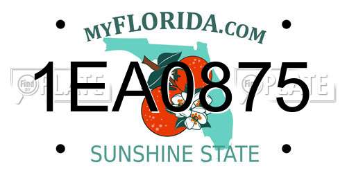 1EA0875 Florida License Plate