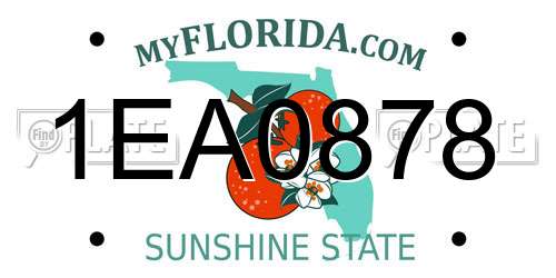 1EA0878 Florida License Plate