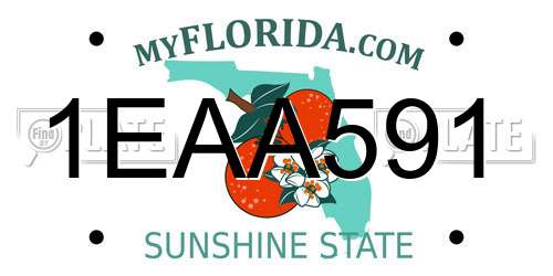 1EAA591 Florida License Plate