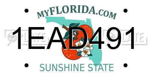 1EAD491 Florida License Plate