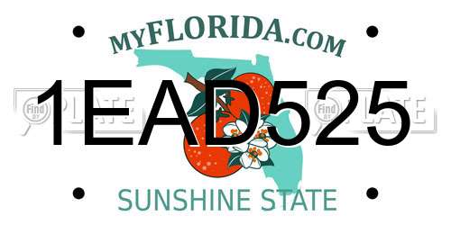 1EAD525 Florida License Plate