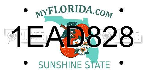 1EAD828 Florida License Plate