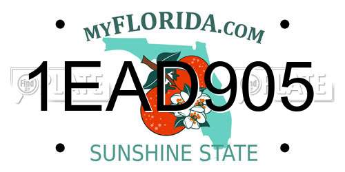 1EAD905 Florida License Plate