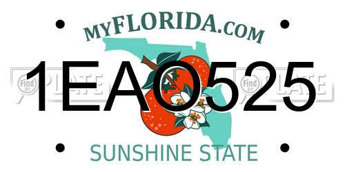 1EAO525 Florida License Plate