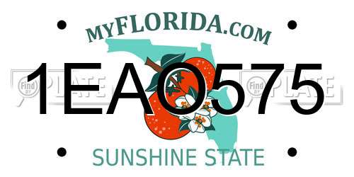 1EAO575 Florida License Plate