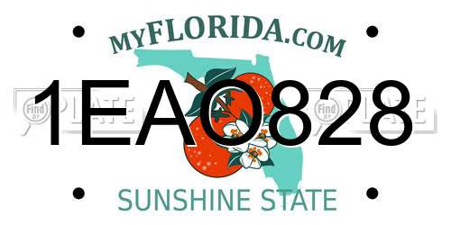 1EAO828 Florida License Plate