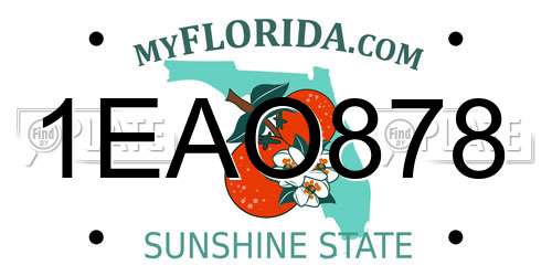 1EAO878 Florida License Plate
