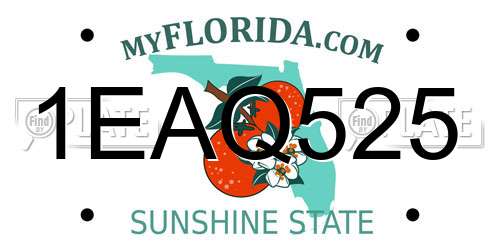 1EAQ525 Florida License Plate