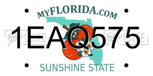 1EAQ575 Florida License Plate
