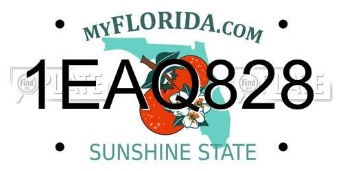 1EAQ828 Florida License Plate