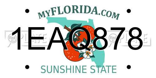 1EAQ878 Florida License Plate