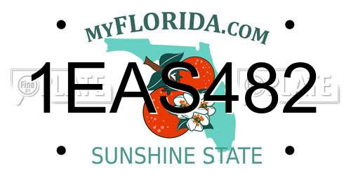 1EAS482 Florida License Plate