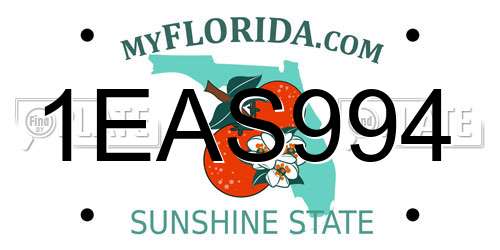 1EAS994 Florida License Plate
