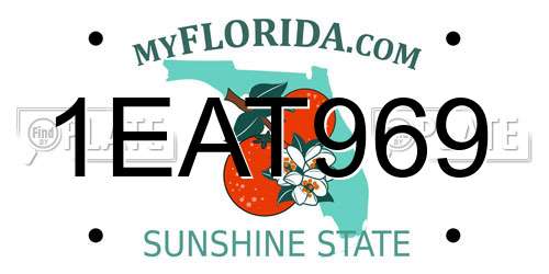 1EAT969 Florida License Plate