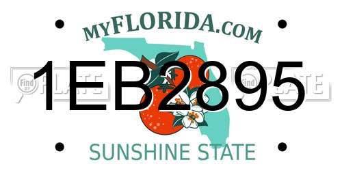 1EB2895 Florida License Plate