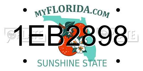 1EB2898 Florida License Plate
