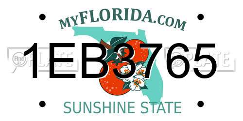 1EB3765 Florida License Plate