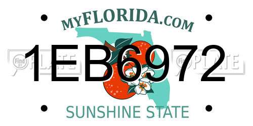 1EB6972 Florida License Plate