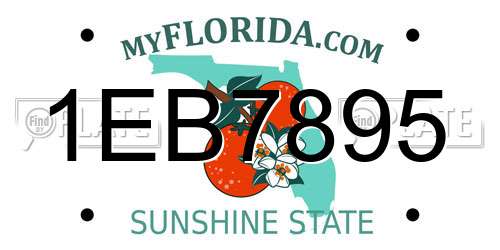 1EB7895 Florida License Plate