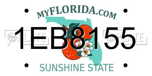 1EB8155 Florida License Plate