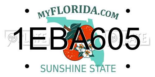 1EBA605 Florida License Plate