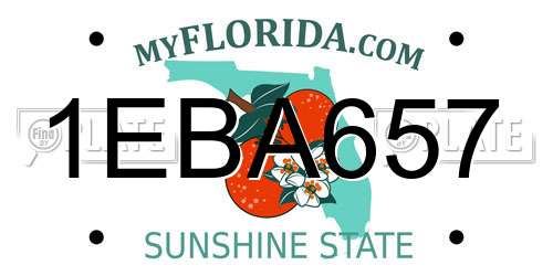 1EBA657 Florida License Plate