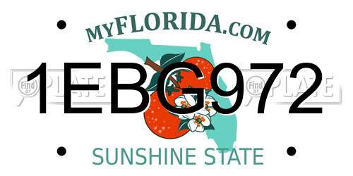 1EBG972 Florida License Plate