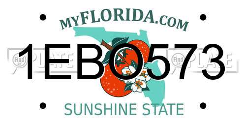 1EBO573 Florida License Plate