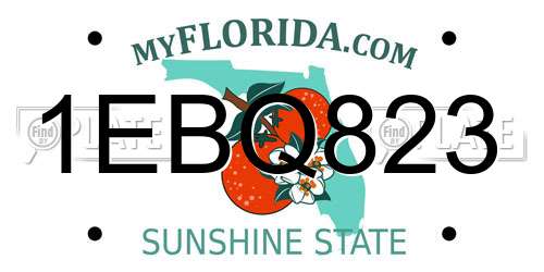 1EBQ823 Florida License Plate