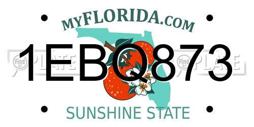 1EBQ873 Florida License Plate