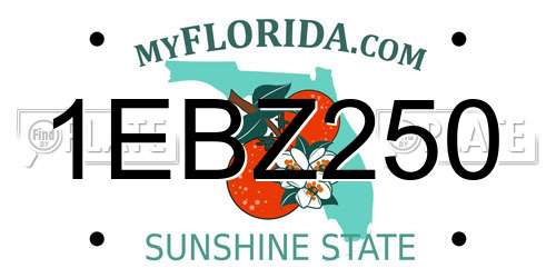 1EBZ250 Florida License Plate