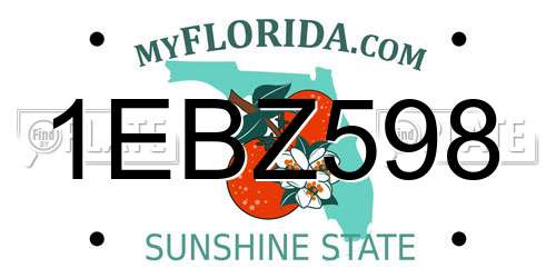 1EBZ598 Florida License Plate