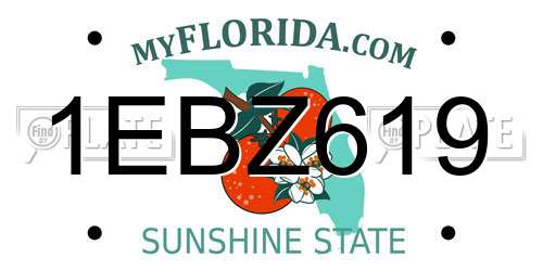 1EBZ619 Florida License Plate