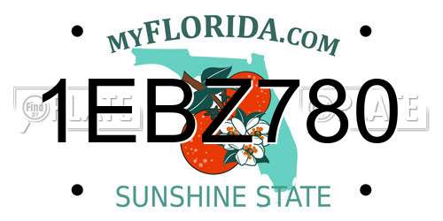 1EBZ780 Florida License Plate