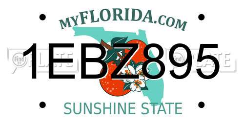 1EBZ895 Florida License Plate